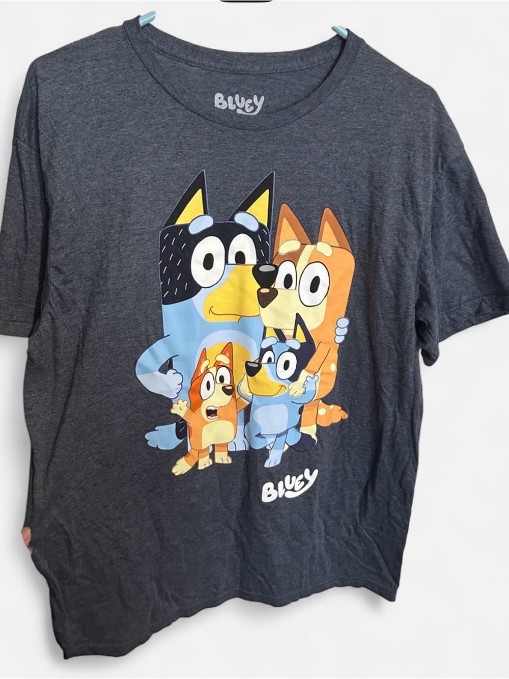 Bluey Kids Short Sleeve Tee in Dark Gray with Family Character Print